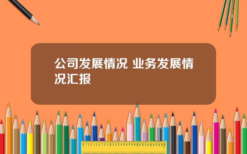 公司发展情况 业务发展情况汇报